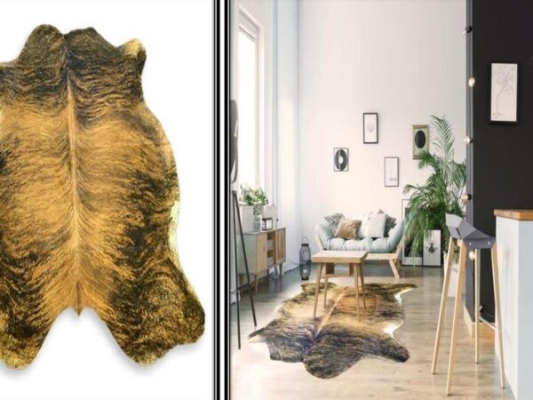 Should you go for cowhide rugs